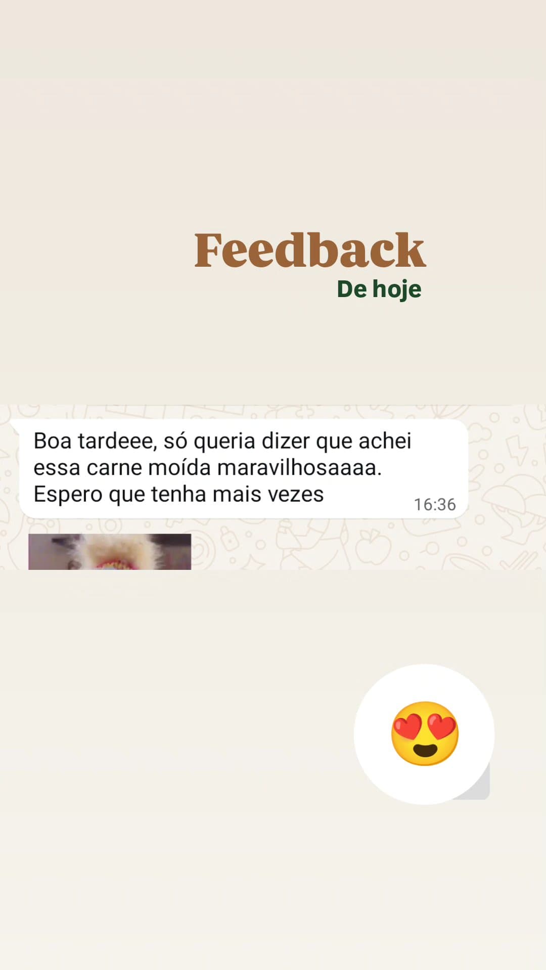 Feedback de cliente: achei essa carne moída maravilhosa
